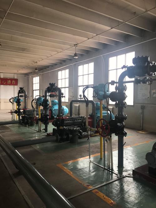 中国石油天然气股份华北油田分公司第五采气厂危险化学品重大