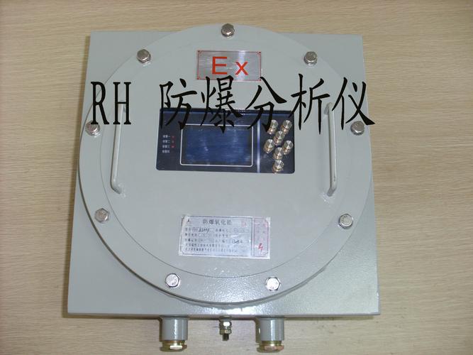 RHD305PPM露点分析仪在石油天然气化工冶金行业的壁挂防爆低温高露点应用技术